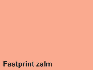 KOPIEERPAPIER FASTPRINT A4 80GR ZALM