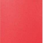 VOORBLAD GBC A4 KARTON LEDERLOOK 250GR ROOD