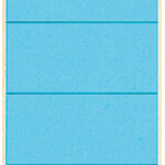 RUGETIKET LEITZ 1642 62X192MM BLAUW
