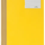 SNELHECHTER DURABLE 2500 A4 PVC ETIKETVENSTER GL