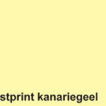 KOPIEERPAPIER FASTPRINT A4 160GR KANARIEGEEL
