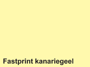KOPIEERPAPIER FASTPRINT A4 160GR KANARIEGEEL