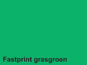 KOPIEERPAPIER FASTPRINT A4 160GR GRASGROEN