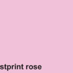 KOPIEERPAPIER FASTPRINT-100 A4 120GR ROZE