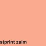 KOPIEERPAPIER FASTPRINT A4 120GR ZALM