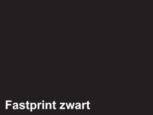 KOPIEERPAPIER FASTPRINT-50 A4 160GR ZWART