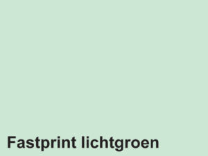 KOPIEERPAPIER FASTPRINT A4 120GR LICHTGROEN