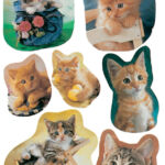 ETIKET HERMA 5747 KAT