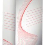 ARCHIEFDOOS ESSELTE 100MM WIT