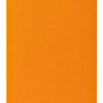 CORRESPONDENTIEKAART 105X148MM ORANJE