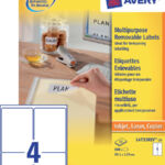 ETIKET AVERY L4733REV-25 99.1X139MM A6 100ST