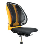 RUGSTEUN FELLOWES OFFICE SUITES GAAS