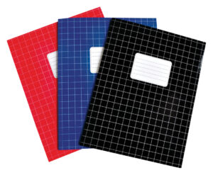 SCHRIFT VERHAAK BASIC A5 RUIT 10MM 80BLZ ASS